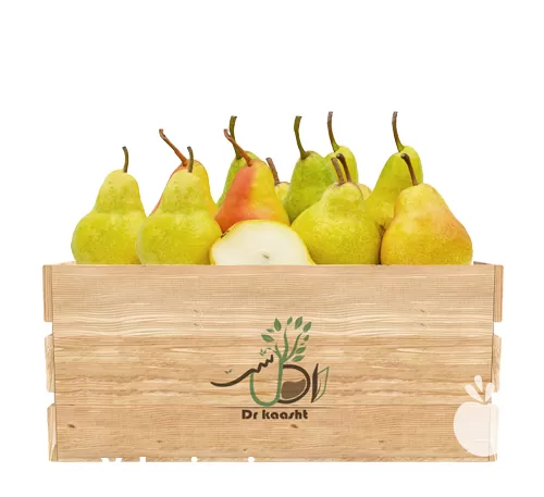 فروش عمده نهال گلابی دم کج در گروه خرید و فروش نهال گلابی در یکمیوه -عکس1