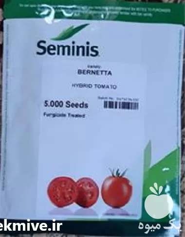 فروش عمده بذر گوجه برنتا بذر در اصفهان در گروه خرید و فروش بذر گوجه در یکمیوه -عکس1