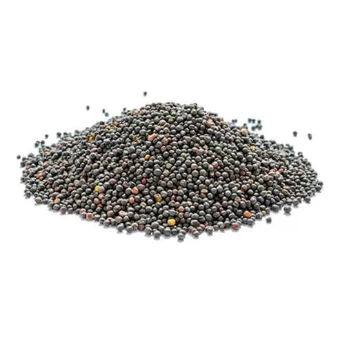 قیمت خرید کلزا شسته شده در تهران در گروه خرید و فروش کلزا در یکمیوه -عکس1