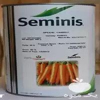 قیمت خرید بدر هویج فورتو دارای در شیراز در گروه خرید و فروش بذر هویج در یکمیوه