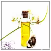 قیمت خرید ویژه روغن مورینگا خالص در تهران در گروه خرید و فروش انواع روغن در یکمیوه