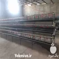 قیمت خرید آبخوری بوقلمون در قم در گروه تجهیزات مرغداری در یکمیوه
