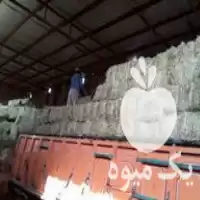 قیمت خرید یونجه پرسی خشک در گروه خوراک دام و طیور در یکمیوه