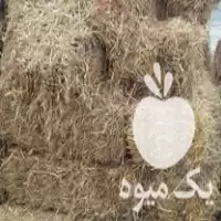 قیمت خرید کاه کلش گندم زیر در گروه خوراک دام و طیور در یکمیوه