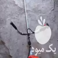 علف چینی و علف زنی در مراغه در گروه خدمات باغبانی در یکمیوه