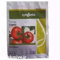 قیمت خرید بذر گوجه فرنگی دافنیس در شیراز در گروه خرید و فروش بذر گوجه در یکمیوه