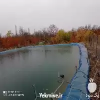 فروش اجرای صفر تا صد استخر در تبریز در گروه خرید و فروش ژئوممبران و ژئوتکستایل در یکمیوه