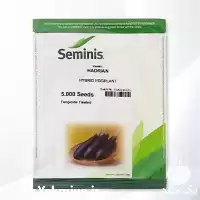 قیمت خرید بذر بادمجان هادریان Hadrian در تهران در گروه خرید و فروش بذر بادمجان در یکمیوه