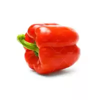 فروش بذر فلفل دلمه و رگاسا Vergasa در تهران در گروه خرید و فروش بذر فلفل در یکمیوه