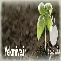 قیمت خرید ورمی کمپوست در مشهد در گروه خرید و فروش کود کمپوست در یکمیوه