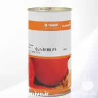 قیمت خرید بذر گوجه سانسید 6189 در تهران در گروه خرید و فروش بذر گوجه در یکمیوه