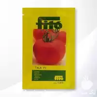 قیمت خرید بذر گوجه طلا Tala در تهران در گروه خرید و فروش بذر گوجه در یکمیوه