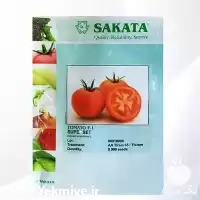 قیمت خرید بذر گوجه سوپرست Superset در تهران در گروه خرید و فروش بذر گوجه در یکمیوه