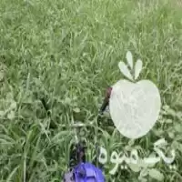 کار با دستگاه علف در صومعه سرا در گروه خدمات باغبانی در یکمیوه