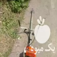 خدمات علفزنی بریدن درخت در لنگرود در گروه خدمات باغبانی در یکمیوه