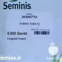 فروش بذر گوجه فرنگی برنتا سمینیس در تهران در گروه خرید و فروش بذر گوجه در یکمیوه