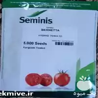 فروش عمده بذر گوجه برنتا بذر در اصفهان در گروه خرید و فروش بذر گوجه در یکمیوه