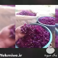 قیمت خرید گل گاوزبان در قزوین در گروه خرید و فروش گیاهان دارویی در یکمیوه