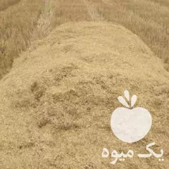 قیمت خرید 30 باک کاه دیم در گروه خوراک دام و طیور در یکمیوه -عکس1