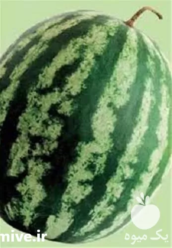 فروش بذر هندوانه ویکیما در همدان در گروه خرید و فروش بذر هندوانه در یکمیوه -عکس1