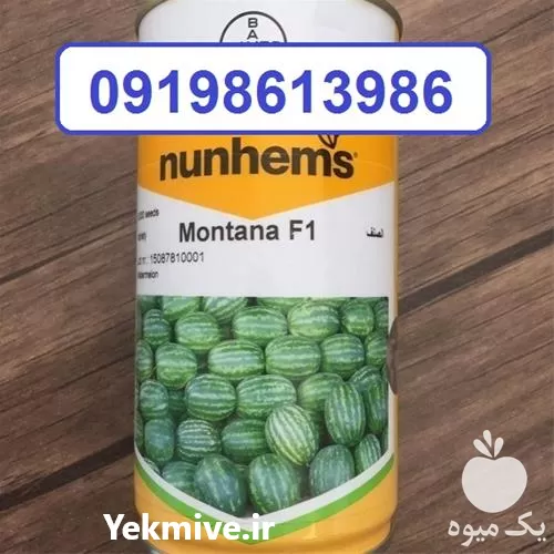 قیمت خرید ویژه بذر هندوانه مونتانا در سمنان در گروه خرید و فروش بذر هندوانه در یکمیوه -عکس1