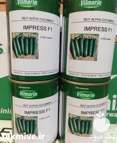 فروش ارزان بذر خیار ایمپرس میوه در اهواز در گروه خرید و فروش بذر خیار در یکمیوه -عکس1