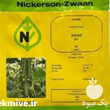 قیمت خرید بذر خیار شهاب اصل در مشهد در گروه خرید و فروش بذر خیار در یکمیوه -عکس1