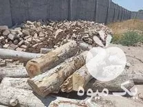 خرید و چوب و هرس کاری در گروه هرس کاری در یکمیوه -عکس1