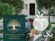 شرکت خدمات رسیدگی به گیاهان آپارتمانی در گروه خدمات باغبانی در یکمیوه -عکس1
