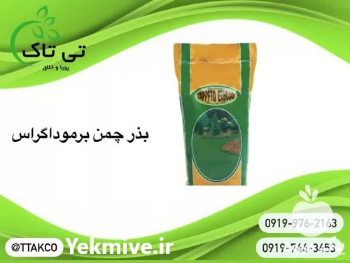 قیمت خرید قیمت بذر چمن در قزوین در گروه خرید و فروش بذر چمن در یکمیوه -عکس1