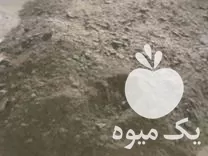 فروش کود مرغی درجه 1 در آمل در گروه خرید و فروش کود مرغی در یکمیوه -عکس1