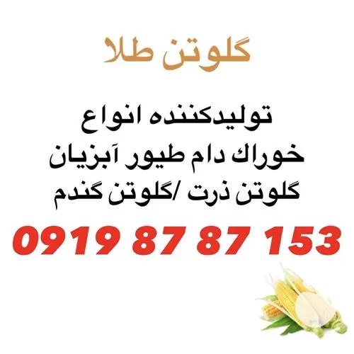 قیمت خرید ویژه گلوتن ذرت در تهران در گروه خوراک دام و طیور در یکمیوه -عکس1
