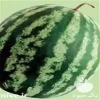 فروش بذر هندوانه ویکیما در همدان در گروه خرید و فروش بذر هندوانه در یکمیوه