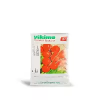 عرضه و فروش بذر ترب ساکسا در اهواز در گروه خرید و فروش انواع بذر در یکمیوه