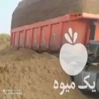 مرکز فروش کاه نیشکر در بافت در گروه خوراک دام و طیور در یکمیوه