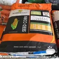 فروش بذر ذرت وایپر در شیراز در گروه خرید و فروش بذر ذرت در یکمیوه