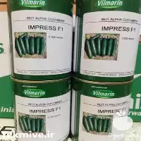 فروش ارزان بذر خیار ایمپرس میوه در اهواز در گروه خرید و فروش بذر خیار در یکمیوه