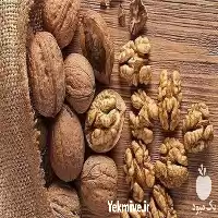 فروش کود ویژه گیاه گردو در تهران در گروه خرید و فروش انواع کود کشاورزی در یکمیوه