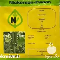 قیمت خرید بذر خیار شهاب اصل در مشهد در گروه خرید و فروش بذر خیار در یکمیوه
