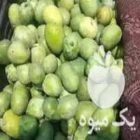 آگهی مشابه قیمت خرید انبه کال برای ترشی در رشت در گروه خرید و فروش انبه در یکمیوه