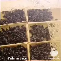 قیمت خرید قیمت بلدرچین ژاپنی در گروه مرغ و خروس و بوقلمون و اردک قو قاز در یکمیوه