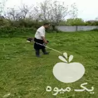 علف تراشی سمپاشی درختان باغچه در سلمان شهر در گروه خدمات باغبانی در یکمیوه
