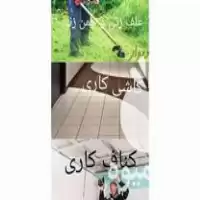 چمن و علف زنی با دستگاه در گروه خدمات باغبانی در یکمیوه