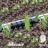 فروش نوار تیپ با بهترین قیمت در تهران در گروه خرید و فروش نوار تیپ در یکمیوه