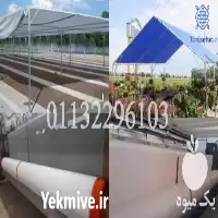 قیمت خرید سایبان گلخانه تنها تولید در تهران در گروه خرید و فروش توری گلخانه در یکمیوه