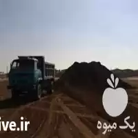 قیمت خرید کود مرغی تخمگذار در تهران در گروه خرید و فروش کود مرغی در یکمیوه