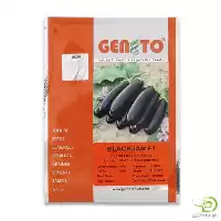 آگهی مشابه فروش بذر بادمجان قلمی بلک جان در تهران در گروه خرید و فروش بذر بادمجان در یکمیوه