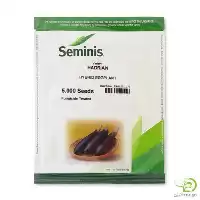 آگهی مشابه قیمت خرید بذر بادمجان قلمی هادریان در گروه خرید و فروش بذر بادمجان در یکمیوه