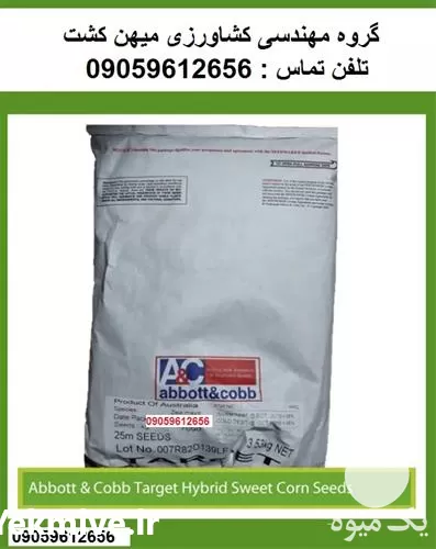 بذر ذرت شیرین تارگت در کرمانشاه در گروه خرید و فروش بذر ذرت در یکمیوه -عکس1