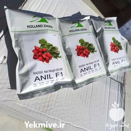 فروش بذر تربچه انیل در سنندج در گروه خرید و فروش انواع بذر در یکمیوه -عکس1